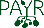 PAYR logo